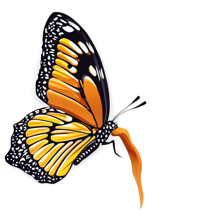 Butterfly Silhouette Outline Png Pxy35