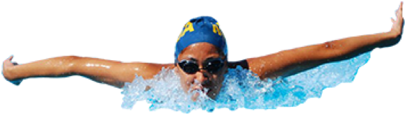 Butterfly Stroke Swimmer Action