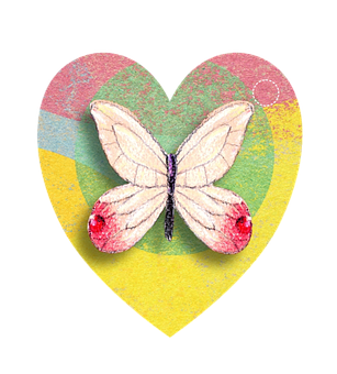 Butterflyon Heart Artwork