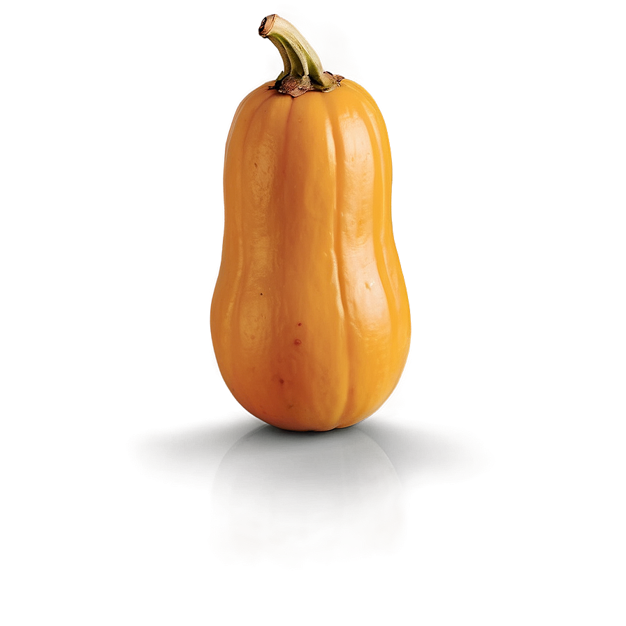 Butternut Png Tqv