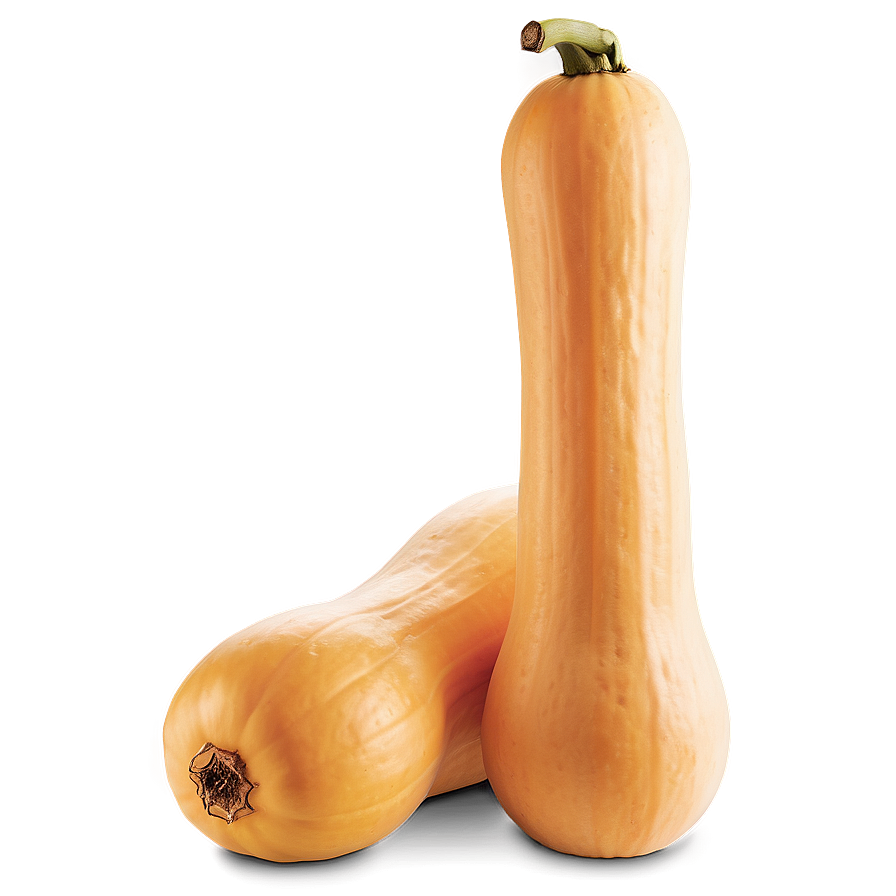 Butternut Squash Png Nko45