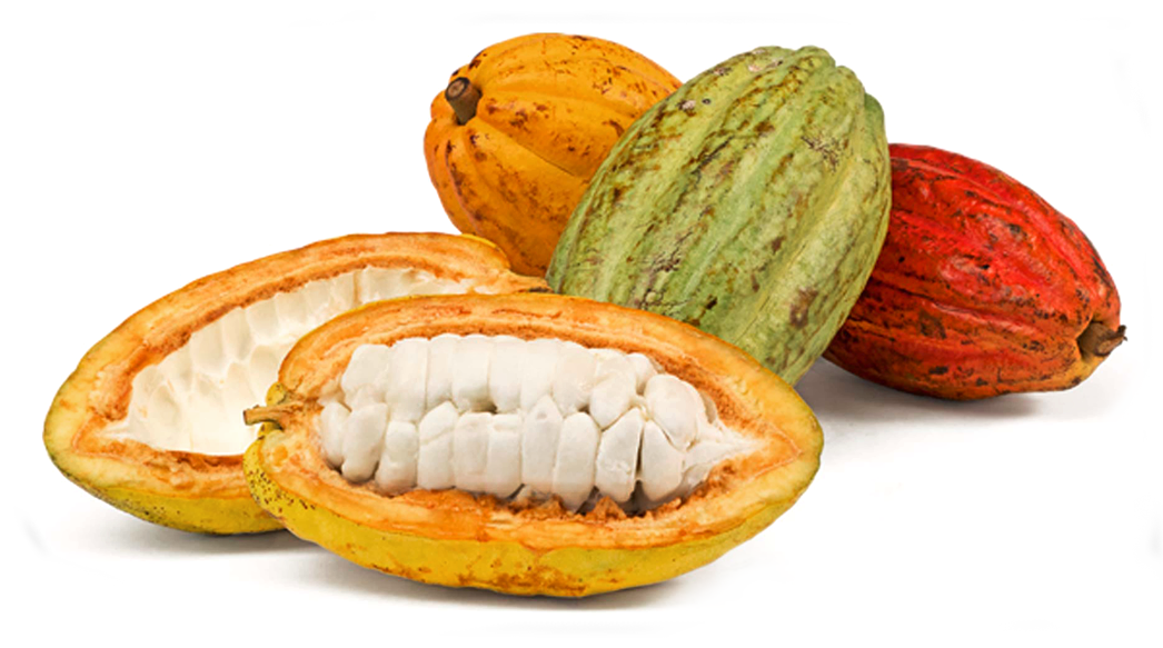 Cacao Podsand Beans.png