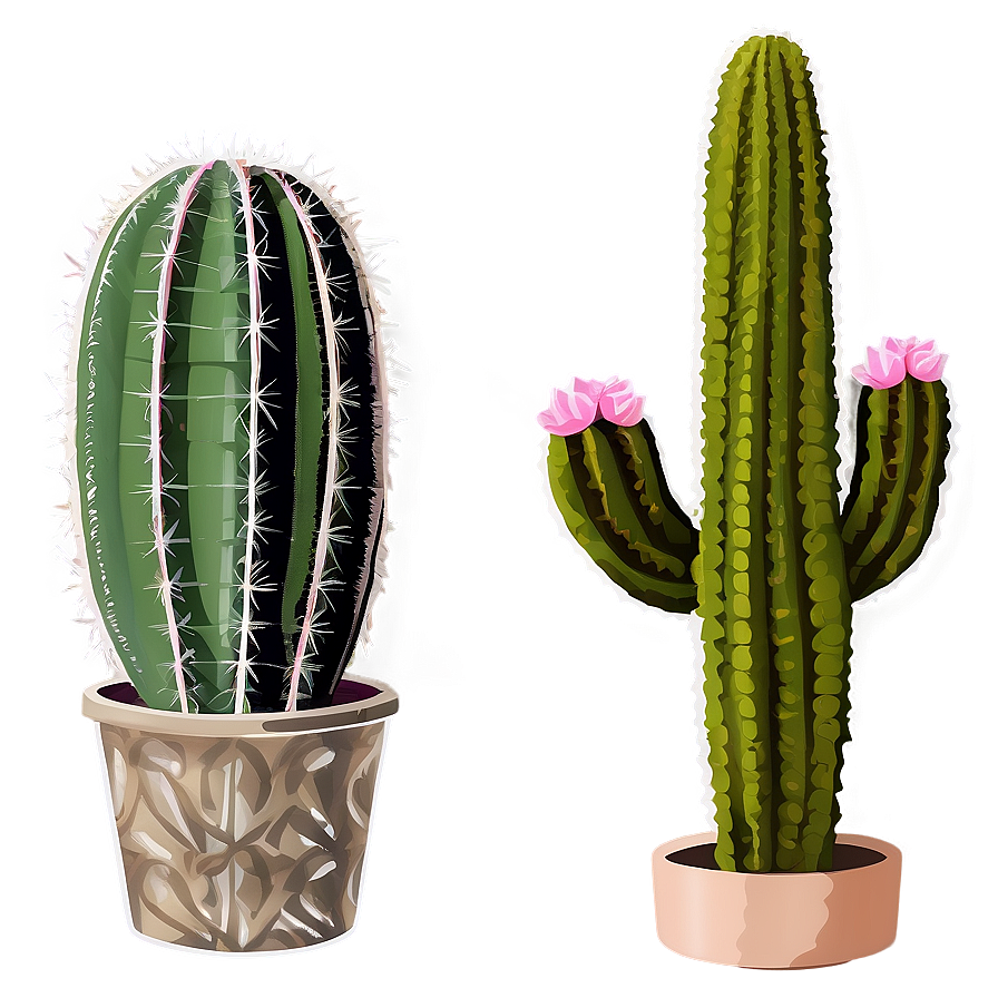 Cacti B