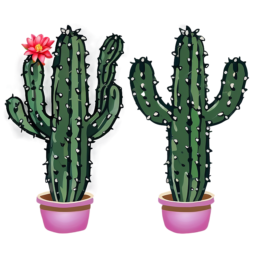 Cactus Design Png 05032024