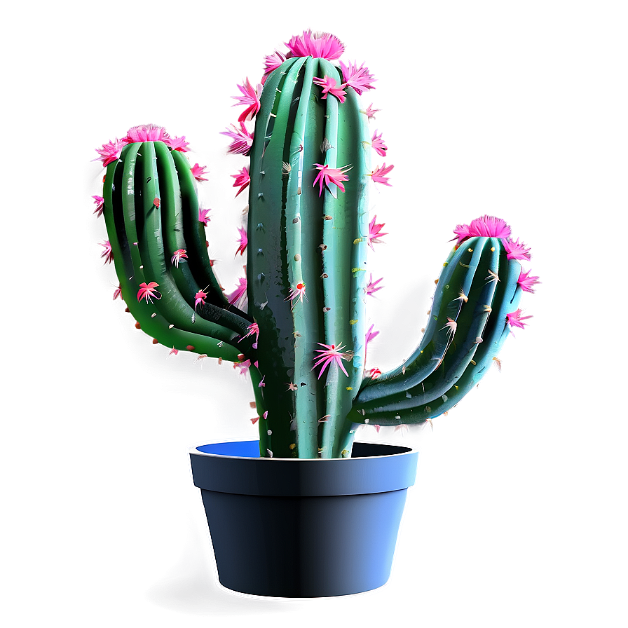 Cactus Plant PNG jke22 PNG with transparent background