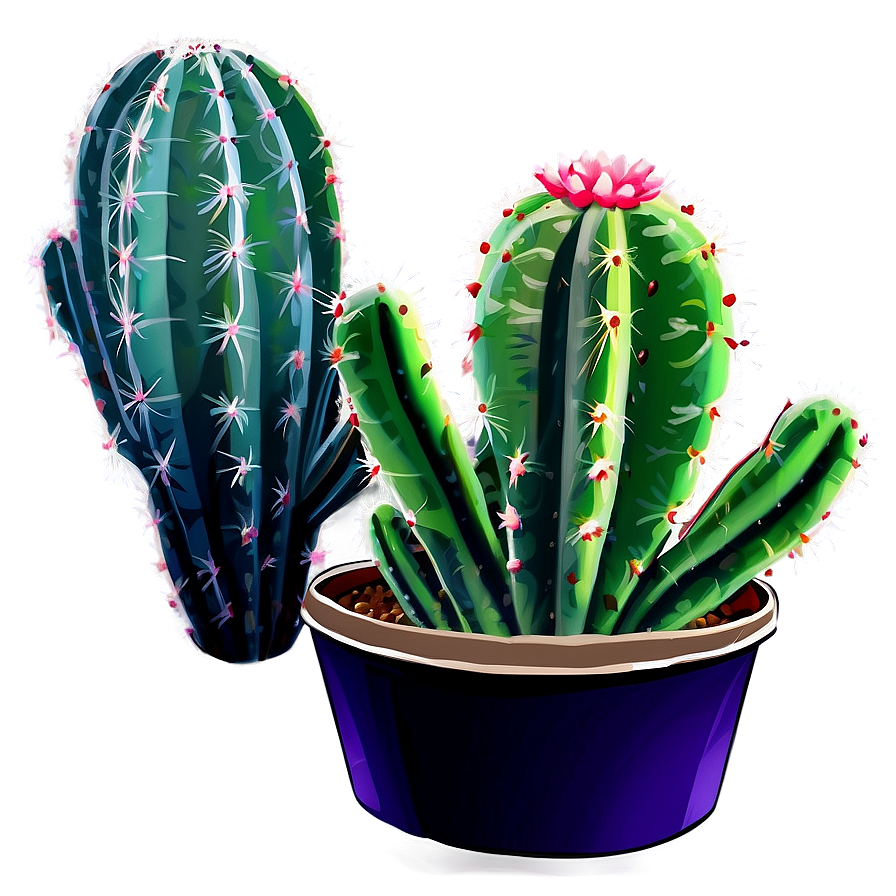 Cactus Succulent Png 05242024