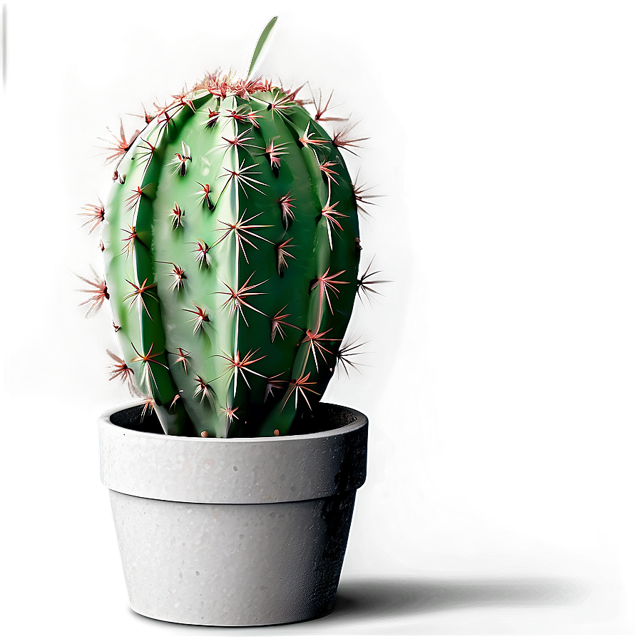 Cactus Theme Png 05032024