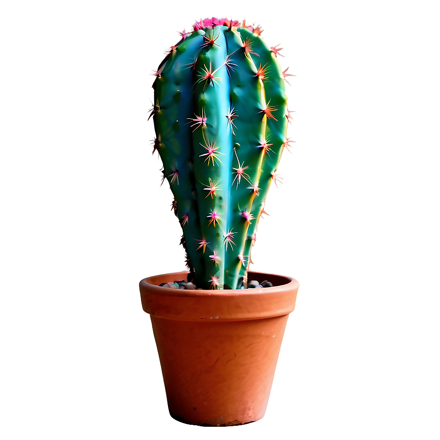 Cactus With Colorful Spines Png Byx