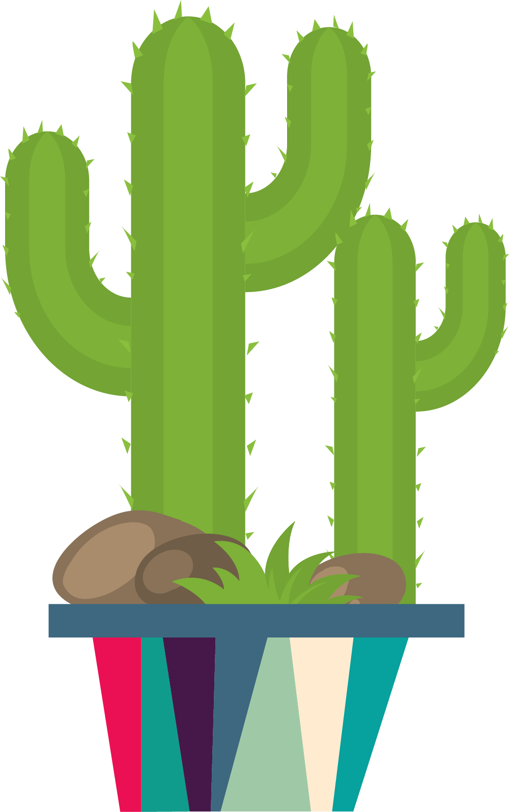 Cactusin Colorful Pot Vector