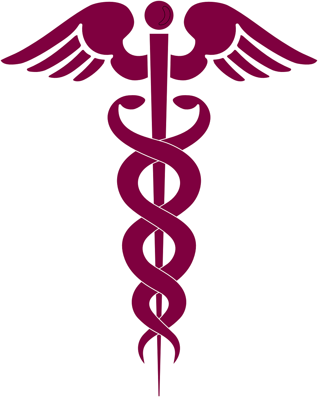 Caduceus Medical Symbol Illustration