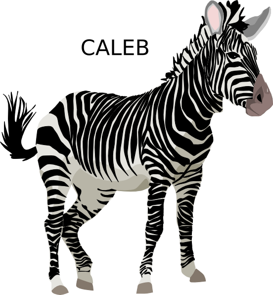 Caleb Zebra Svg Clip Arts - Zebra Clipart, HD Png Download PNG with transparent background
