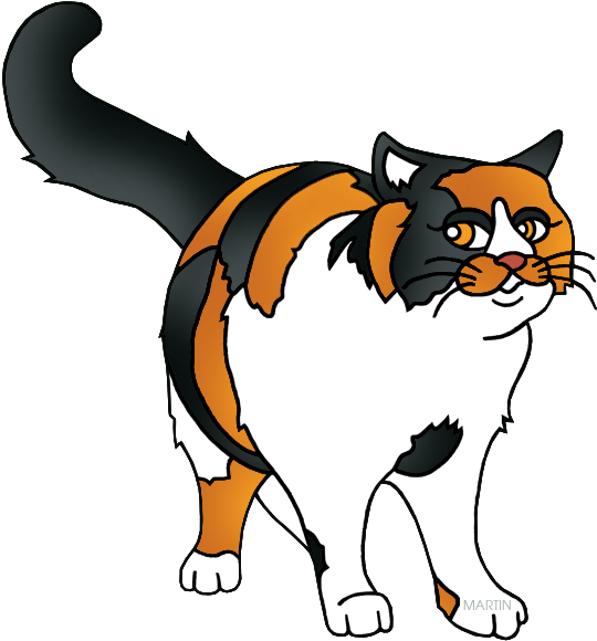 Calico Cat Cartoon Illustration