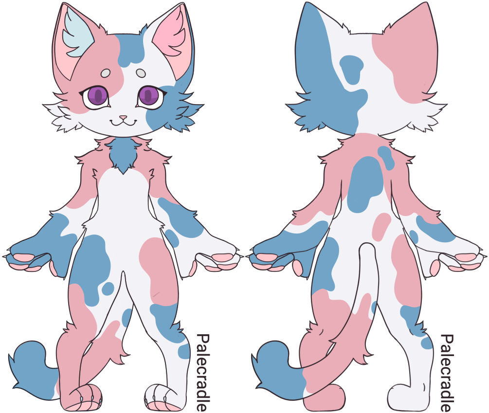 Calico Cat Character Design