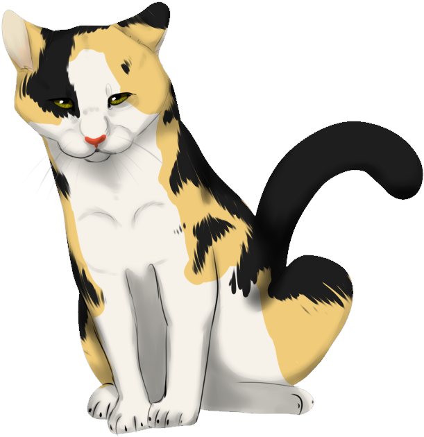 Calico Cat Illustration