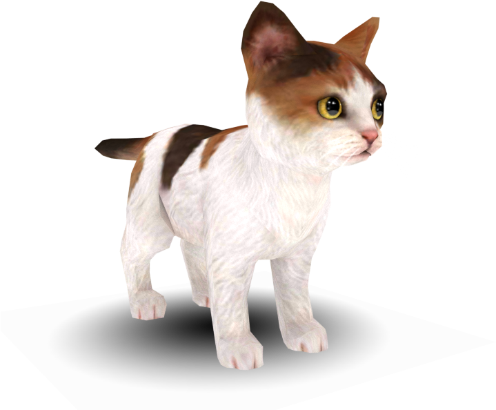 Calico Cat3 D Model