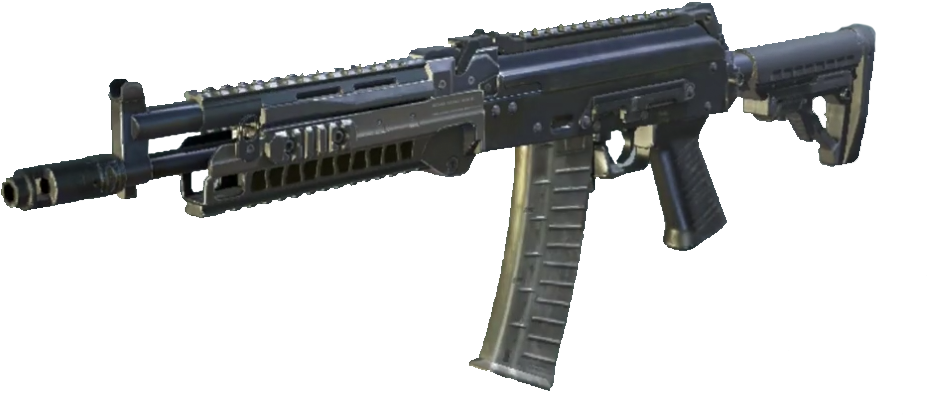 Callof Duty Assault Rifle Image