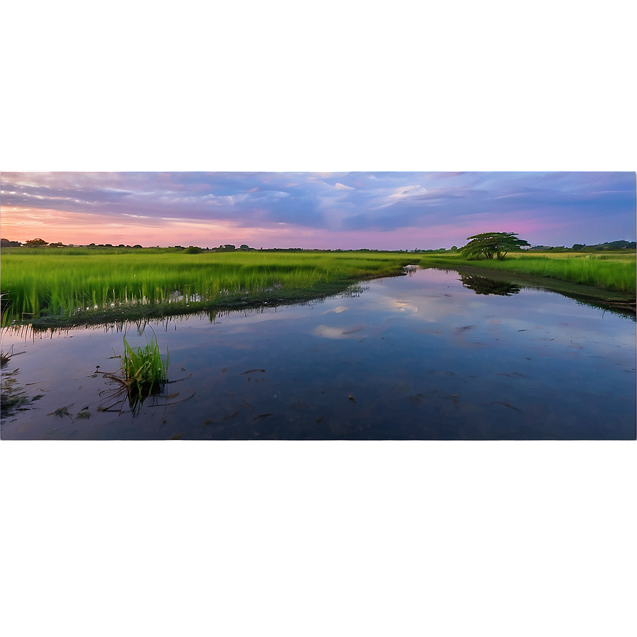 Calm Marshland At Twilight Landscape Png Jvp