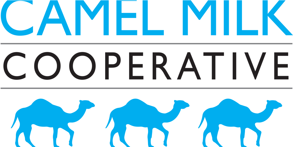 Camel Milk Cooperative - Arabian Camel, HD Png Download PNG with transparent background