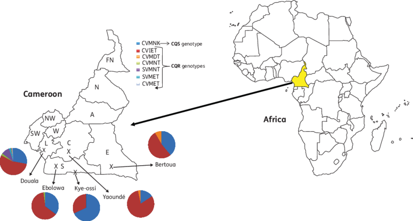 Cameroon Economic Indicators Africa Map