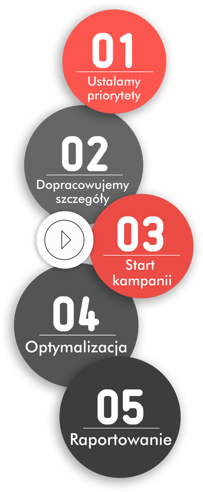 Campaign Steps Infographic Polish