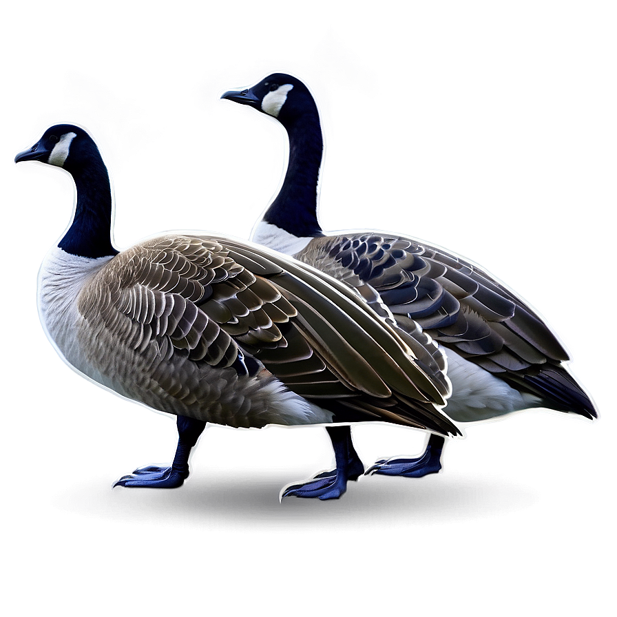 Canada Goose Silhouette PNG cog32 PNG with transparent background