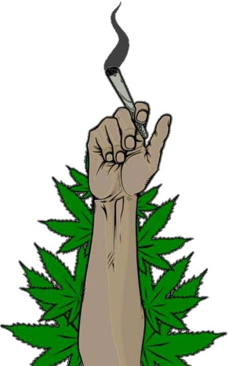 Cannabis Culture Fist Holding Joint