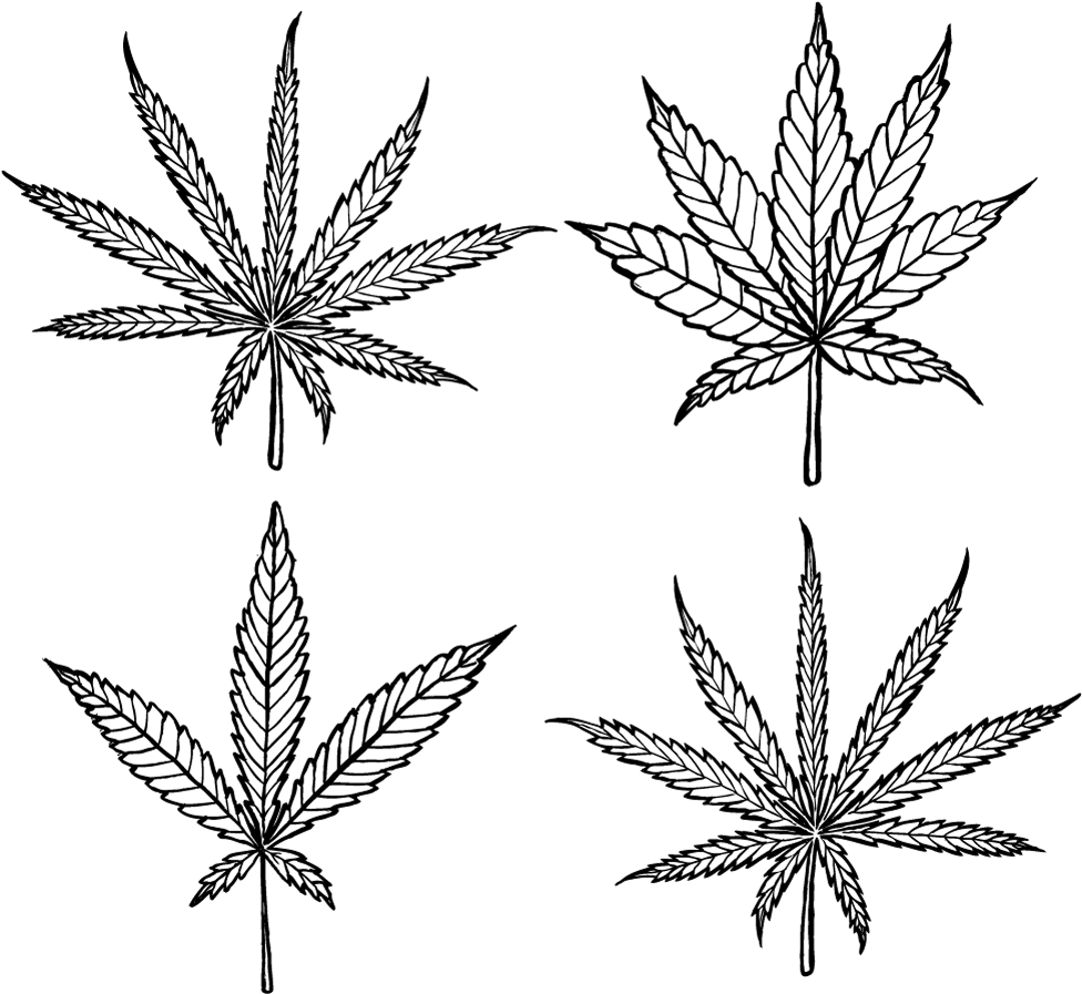 Cannabis Leaf Illustration Set