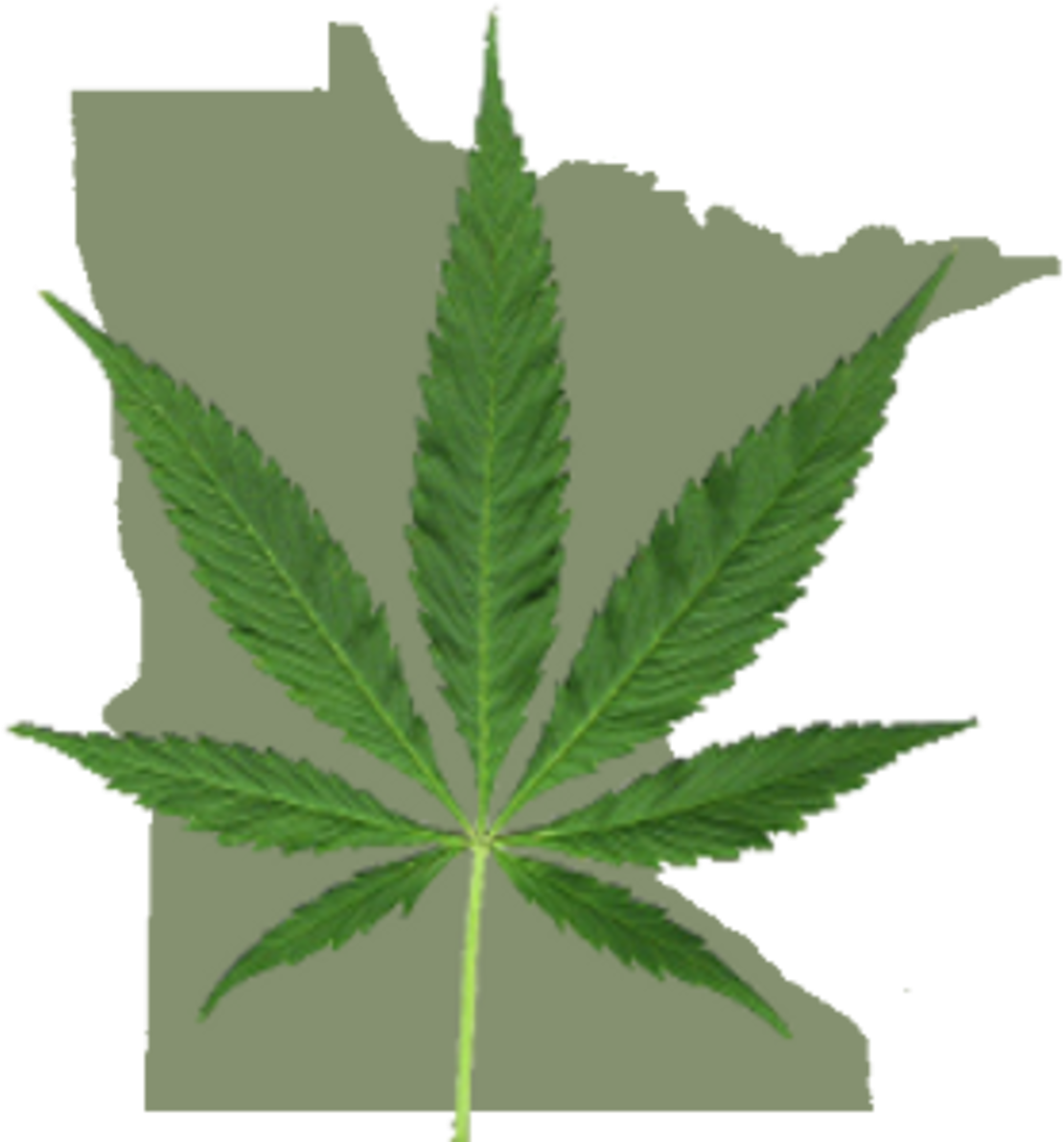 Cannabis Leaf Transparent Background