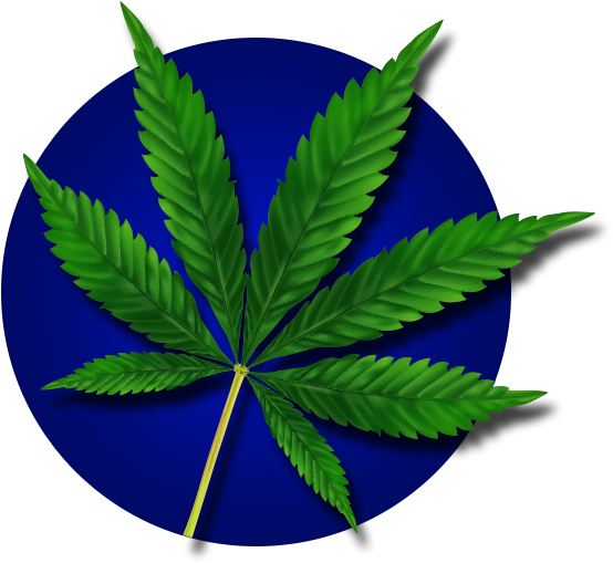 Cannabis Leafon Blue Background.png