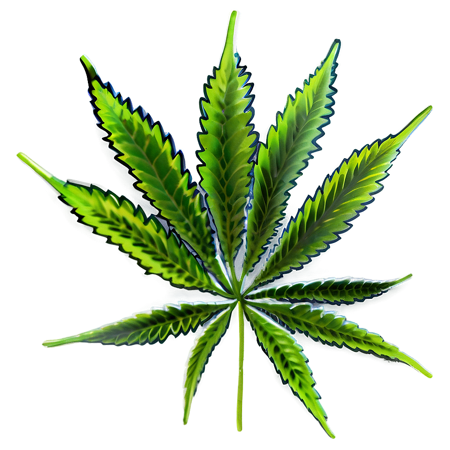Cannabis Plant PNG ffx PNG with transparent background