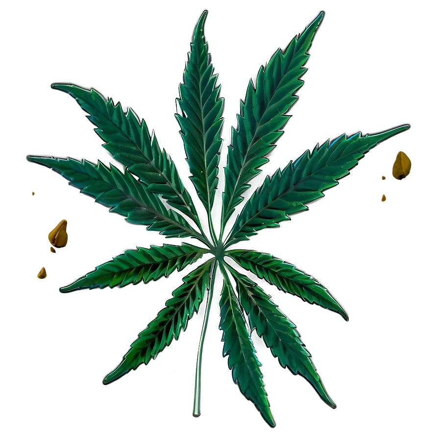 Cannabis Sativa Plant PNG ukl26 PNG with transparent background
