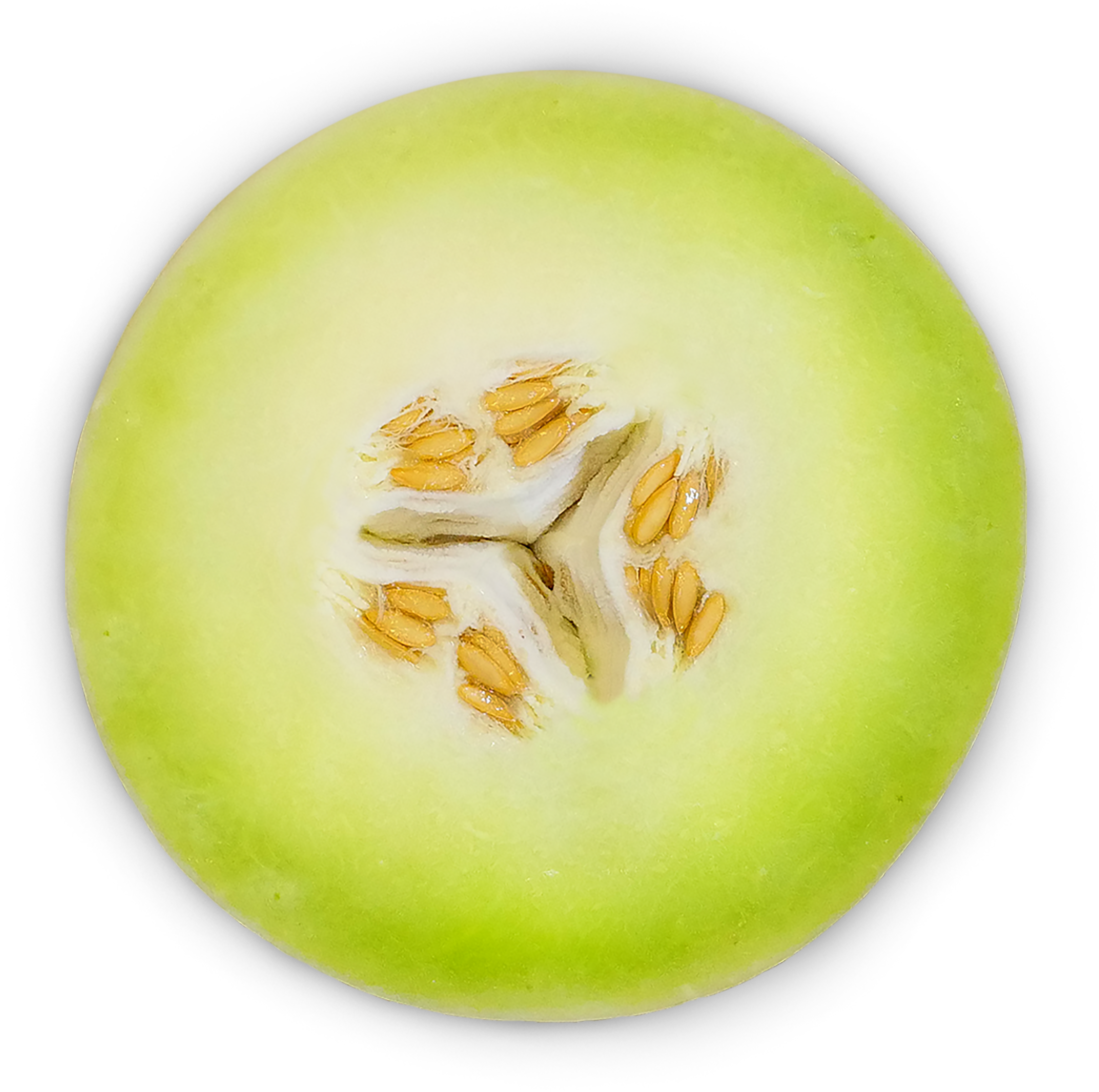 Cantaloupe Slice Closeup.png