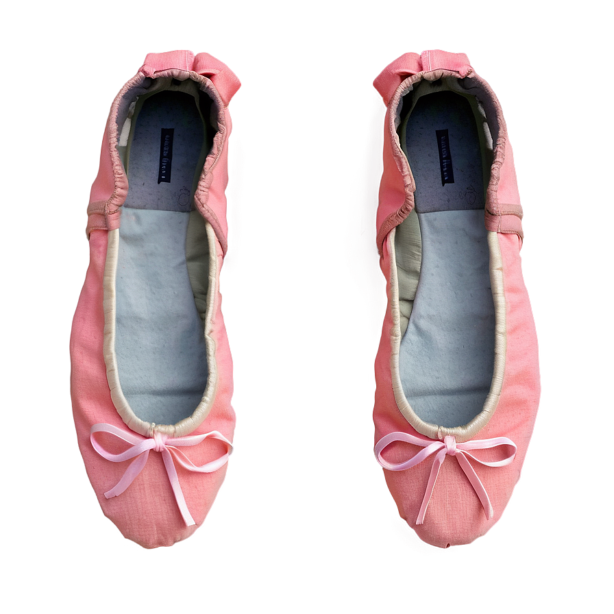 Canvas Ballet Shoes PNG muv PNG with transparent background