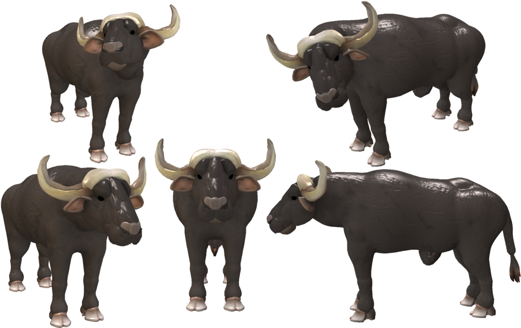 Cape Buffalo Transparent Background - African Buffalo Zoo Tycoon, HD Png Download PNG with transparent background