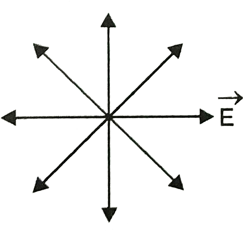 Cardinal Directions Vector Arrows