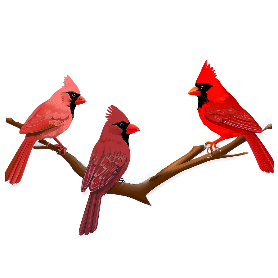 Cardinal Family Png 05242024