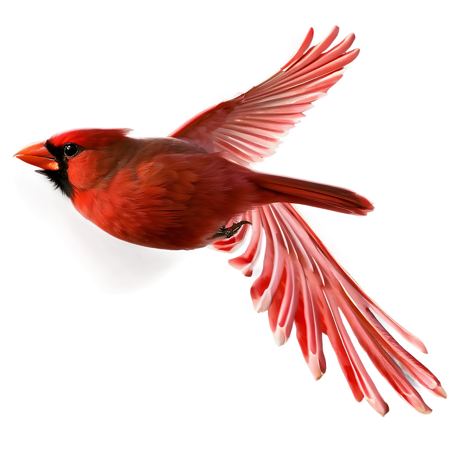 Cardinal Flying Side View Png Kga17