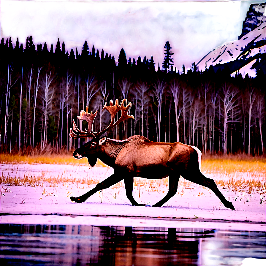 Caribou Crossing Snowy Field Png 06292024