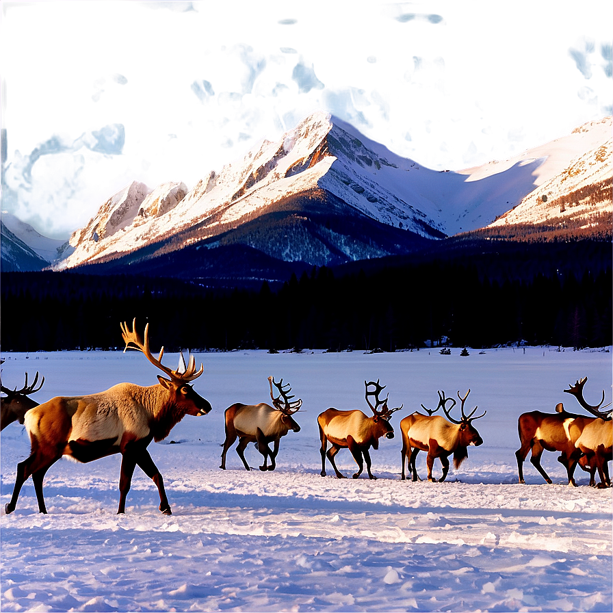 Caribou Crossing Snowy Field Png 60