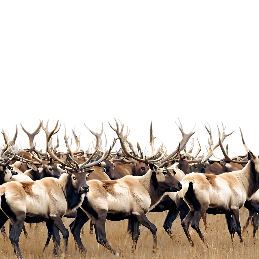 Caribou Herd Against Mountains Png 14