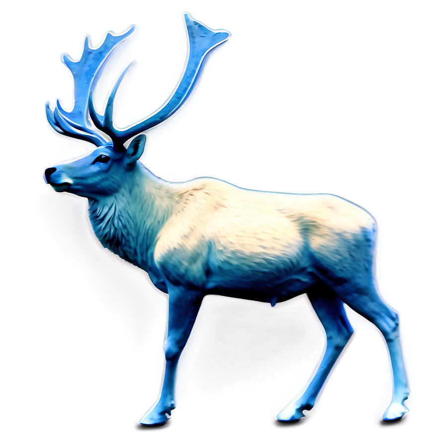 Caribou Under Starry Sky Png 67