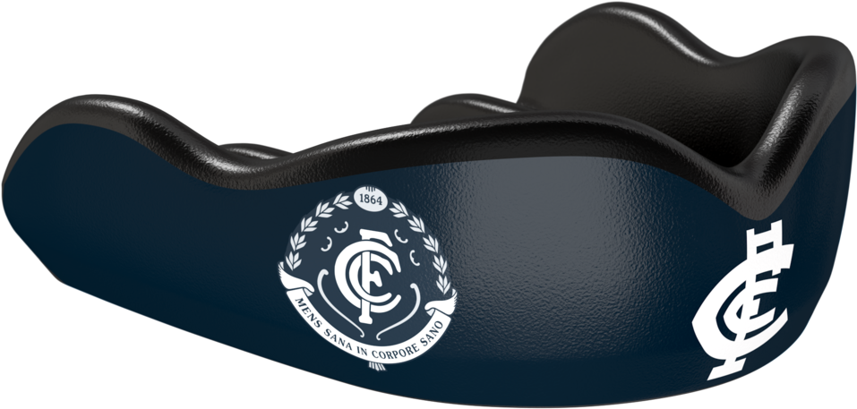 Carlton Football Club Saddle