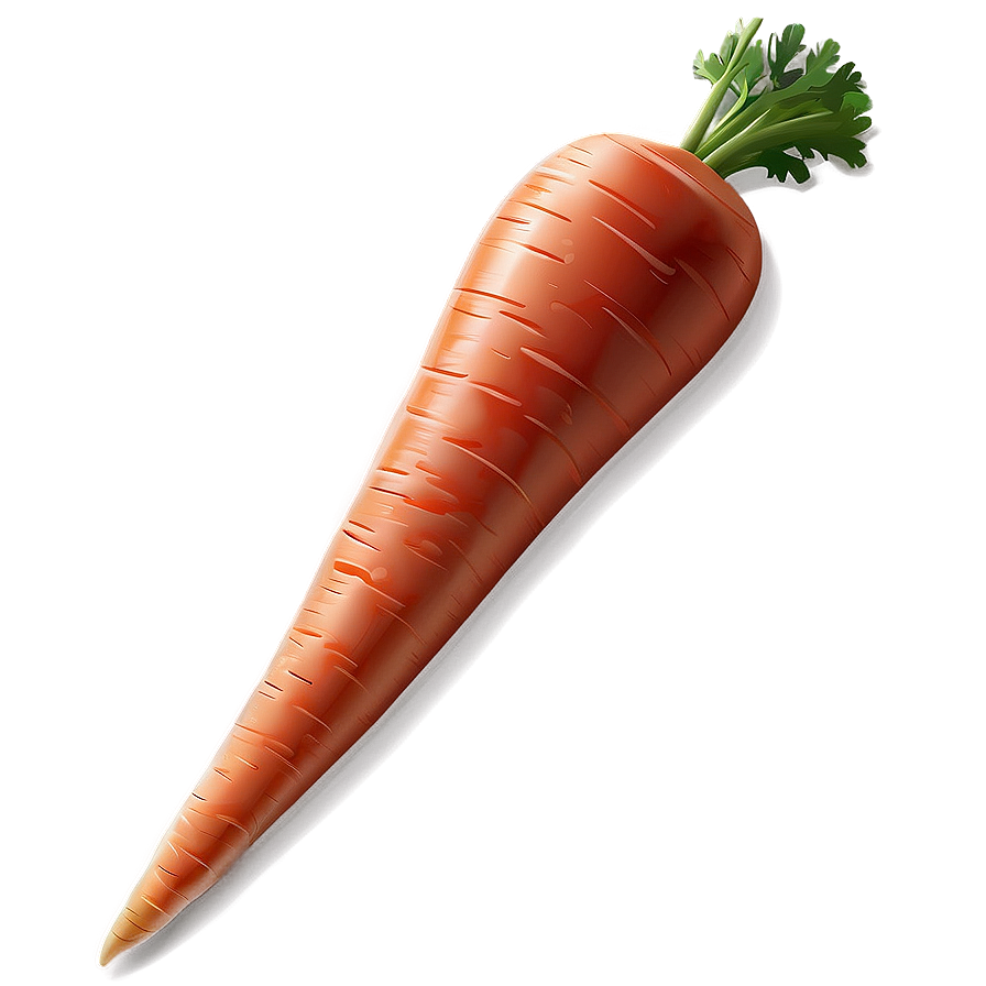 Carrot Vector Png Yni