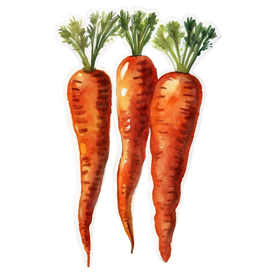 Carrot Watercolor Png Cpq29