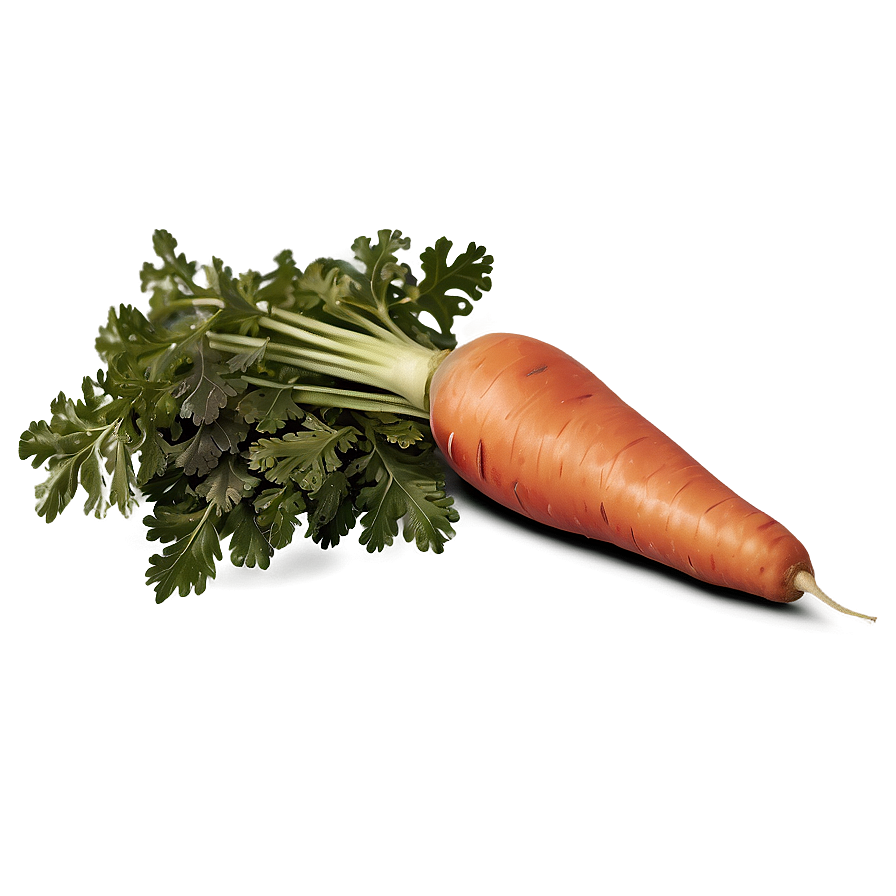 Carrot With Leaves Png 51