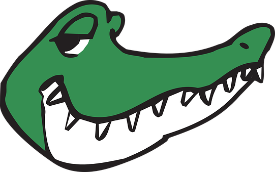 Cartoon Alligator Head Graphic PNG with transparent background