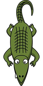 Cartoon Alligator Top View Illustration PNG with transparent background
