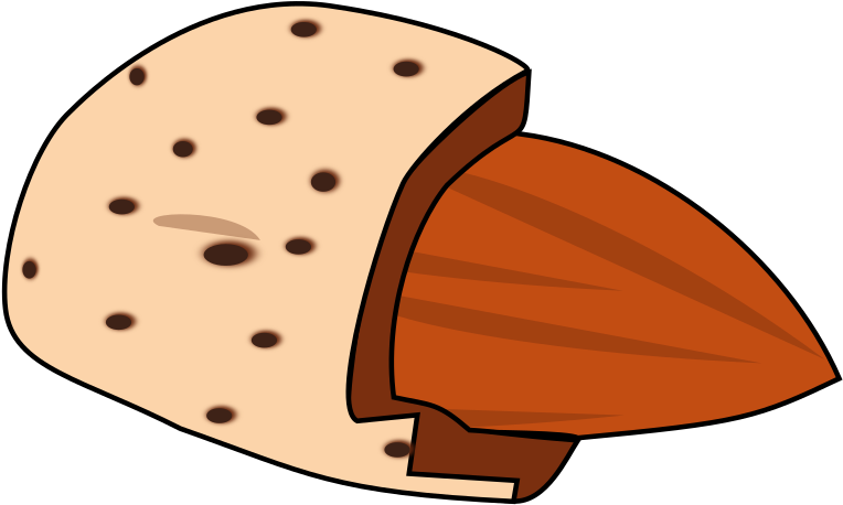 Almond Big Image Png - Illustration, Transparent Png PNG with transparent background