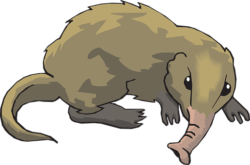 Cartoon Anteater Illustration