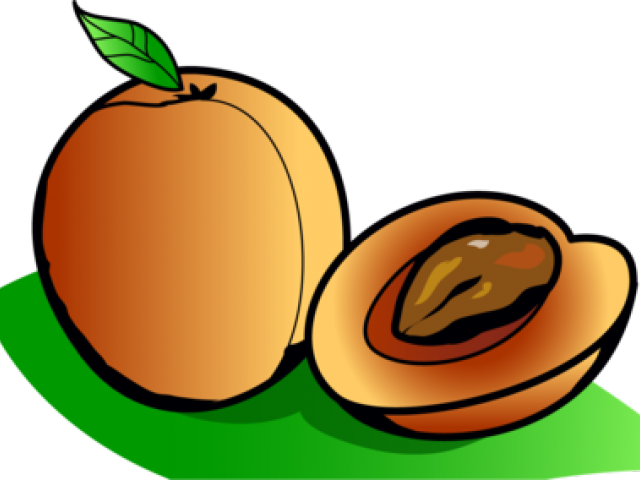 Cartoon_ Apricot_and_ Half_with_ Pit